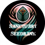 This image has an empty alt attribute; its file name is image0000001-2.png